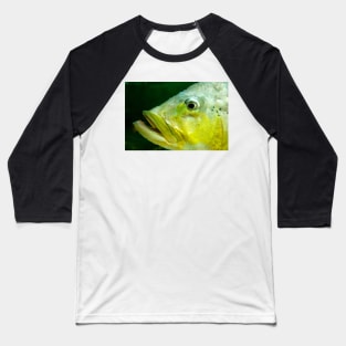 Fish Portrait - Mavis Baseball T-Shirt